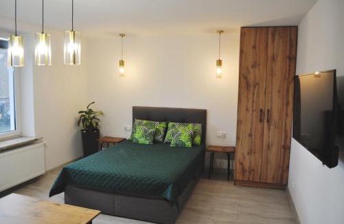 Tolkmicko Apartment | Apartament Aleksandra