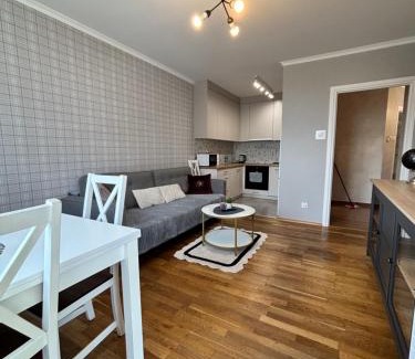 Przemysl Apartment | APARTAMENT Alexa Zasanie