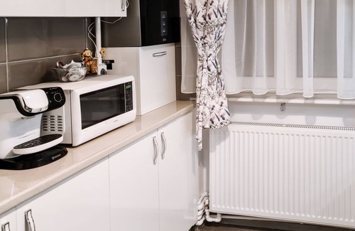 Emanoil Gojdu Apartment | Apartament Alina