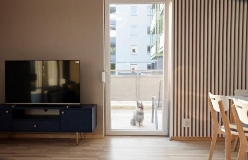 Psie Pole Apartment | Apartament Amerigo