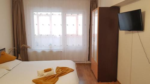 Toplita Apartment | Apartament Ana