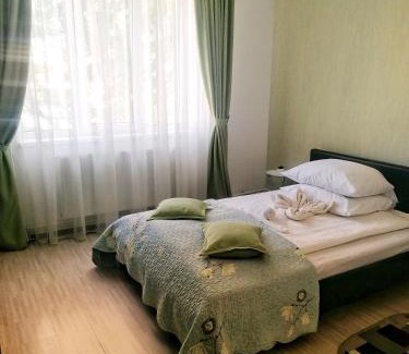 Vulcan Apartment | Apartament Anita