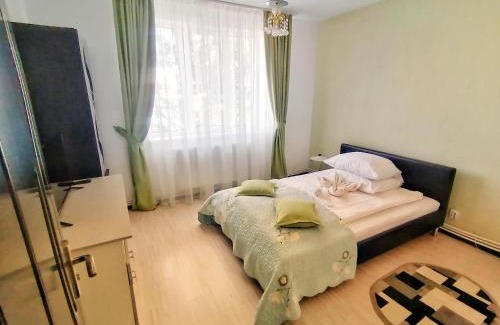 Vulcan Apartment | Apartament Anita