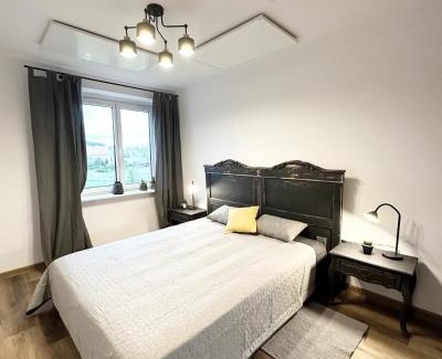 Boguszow-Gorce Apartment | Apartament Antracytowe Wrota