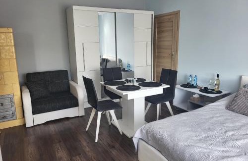 Mieroszow Apartment | Apartament Ares