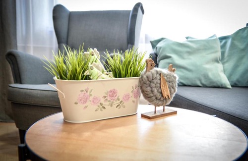 Zator Apartment | Apartament AVIATOR