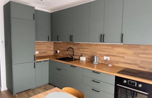 Zory Apartment | Apartament Carmen
