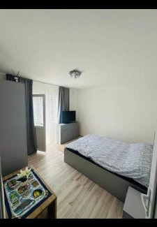 Brezoi Apartment | Apartament Catrys