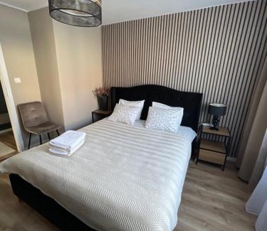 Lidzbark Warminski Apartment | Apartament Centrum II
