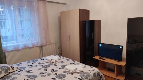 Lupeni Apartment | Apartament Central