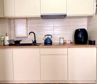 Lancut Apartment | Apartament Centrum