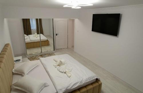 Baile Herculane Apartment | Apartament Cosmi Ari