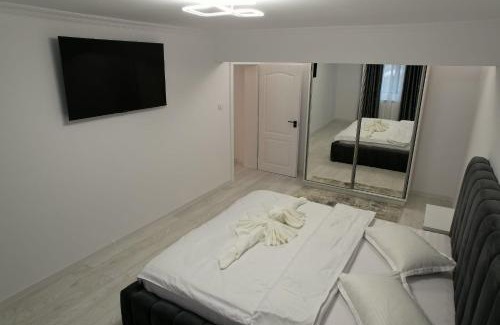 Baile Herculane Apartment | Apartament Cosmi Ari