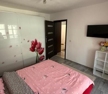 Dragasani Apartment | Apartament cozy