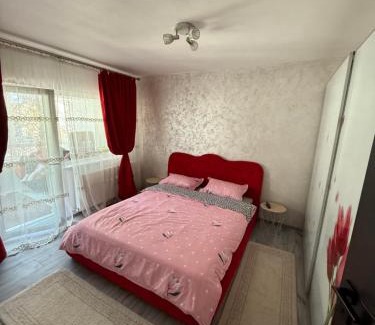 Dragasani Apartment | Apartament cozy