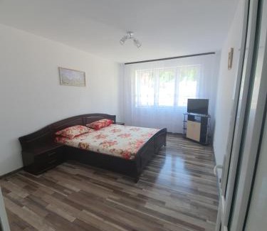 Vatra Dornei Apartment | Apartament cu 3 camere Vatra Dornei