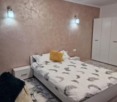 Resita Apartment | Apartament cu o camera