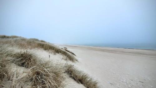 Ustka Apartment | Apartament DANA piękna plaża wydmy las
