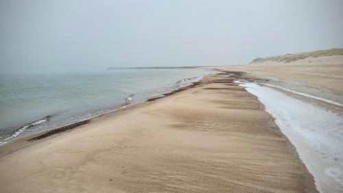 Ustka Apartment | Apartament DANA piękna plaża wydmy las