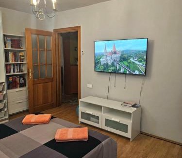 Emanoil Gojdu House | Apartament David Deva - 2 dormitoare & 1 living