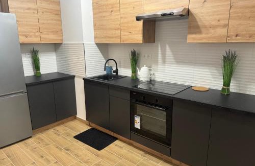 Zmigrod Apartment | Apartament Dolina Baryczy
