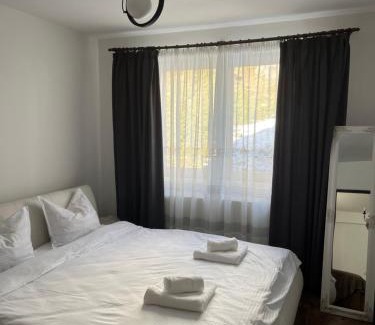 Cavnic Apartment | Apartament Dor de Munte Cavnic