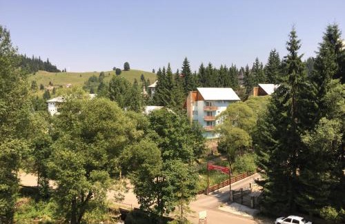 Durau Apartment | apartament Durau