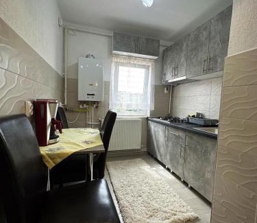 Hateg Apartment | Apartament Dya HATEG 9