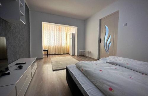 Hateg Apartment | Apartament Dya HATEG 9