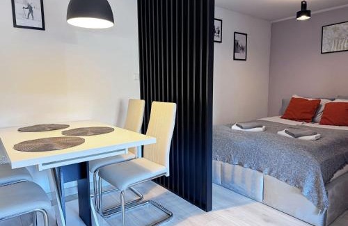 Boguszow-Gorce Apartment | Apartament Dzikowiec
