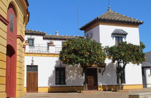 Jerez de los Caballeros Apartment | Apartamento Plaza de Toros