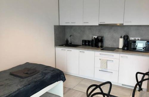 Rybnik Apartment | Apartament Fibra Bounty