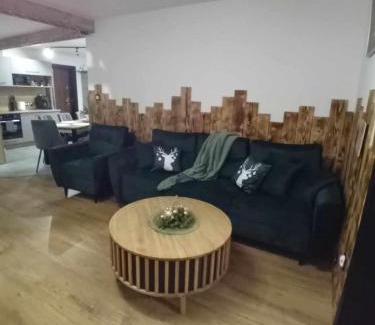 Brzegi Apartment | Apartament Góralski Duet 8-osobowy