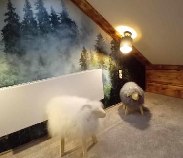 Brzegi Apartment | Apartament Góralski Duet 8-osobowy