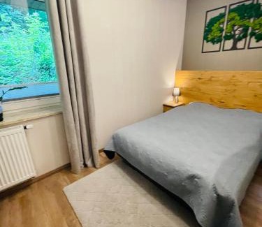 Porabka Apartment | Apartament Góry i Potok