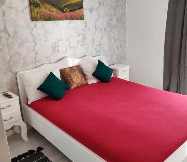 Baia Mare Apartment | Apartament Gabriela