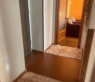 Vulcan Apartment | Apartament Gabriela