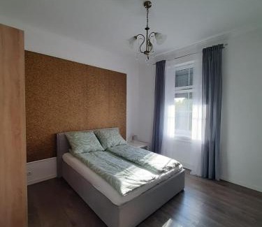 Nysa Apartment | Apartament GALERIA