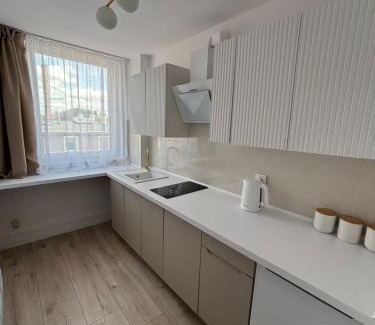 Mieroszow Apartment | Apartament Gold Rynek Mieroszów Wi-Fi, nc plus, doba od 14 do 12