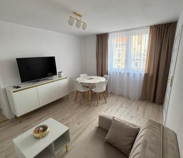 Mieroszow Apartment | Apartament Gold Rynek Mieroszów Wi-Fi, nc plus, doba od 14 do 12