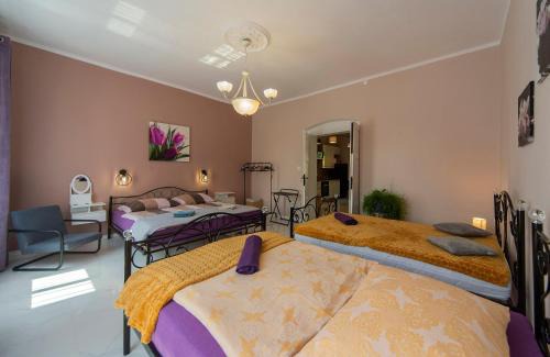 Jedlina-Zdroj Apartment | Apartament GRACJA w Jedlinie Zdrój