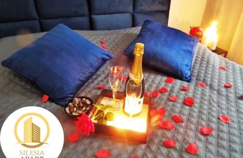 Tychy Apartment | Apartament Granatowy