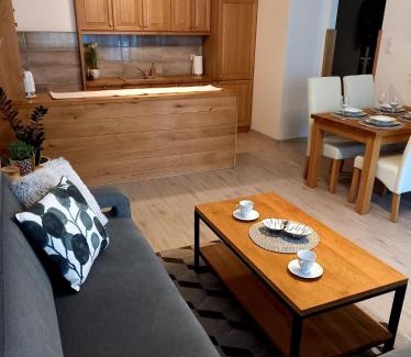Starogard Gdanski Apartment | Apartament Green Park