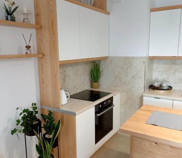 Starogard Gdanski Apartment | Apartament Green Park 2