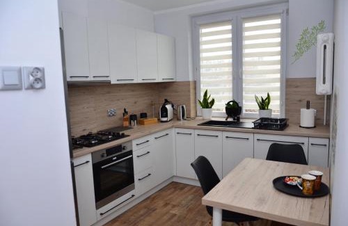 Zawiercie Apartment | Apartament Gustav