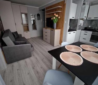 Legnica Apartment | Apartament Gwiezdna 15