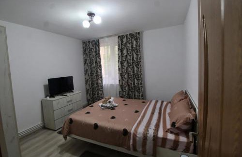 Hunedoara Apartment | Apartament HD2