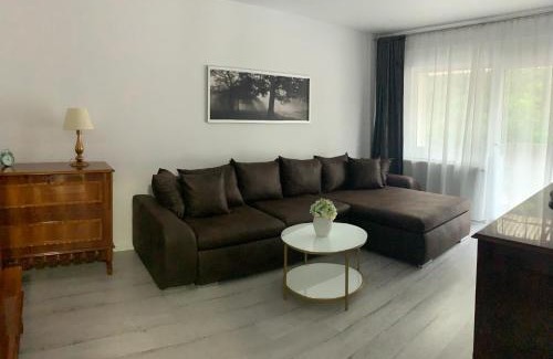 Baile Herculane Apartment | Apartament Herculane Andra