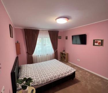 Piatra Neamt Apartment | Apartament Ingrid