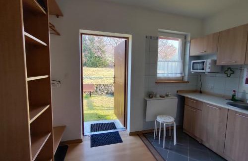Stara Kamienica Apartment | Apartament Izerskie Gaje